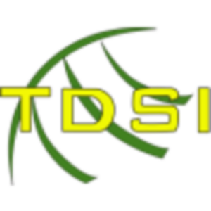 TDSI Brasil